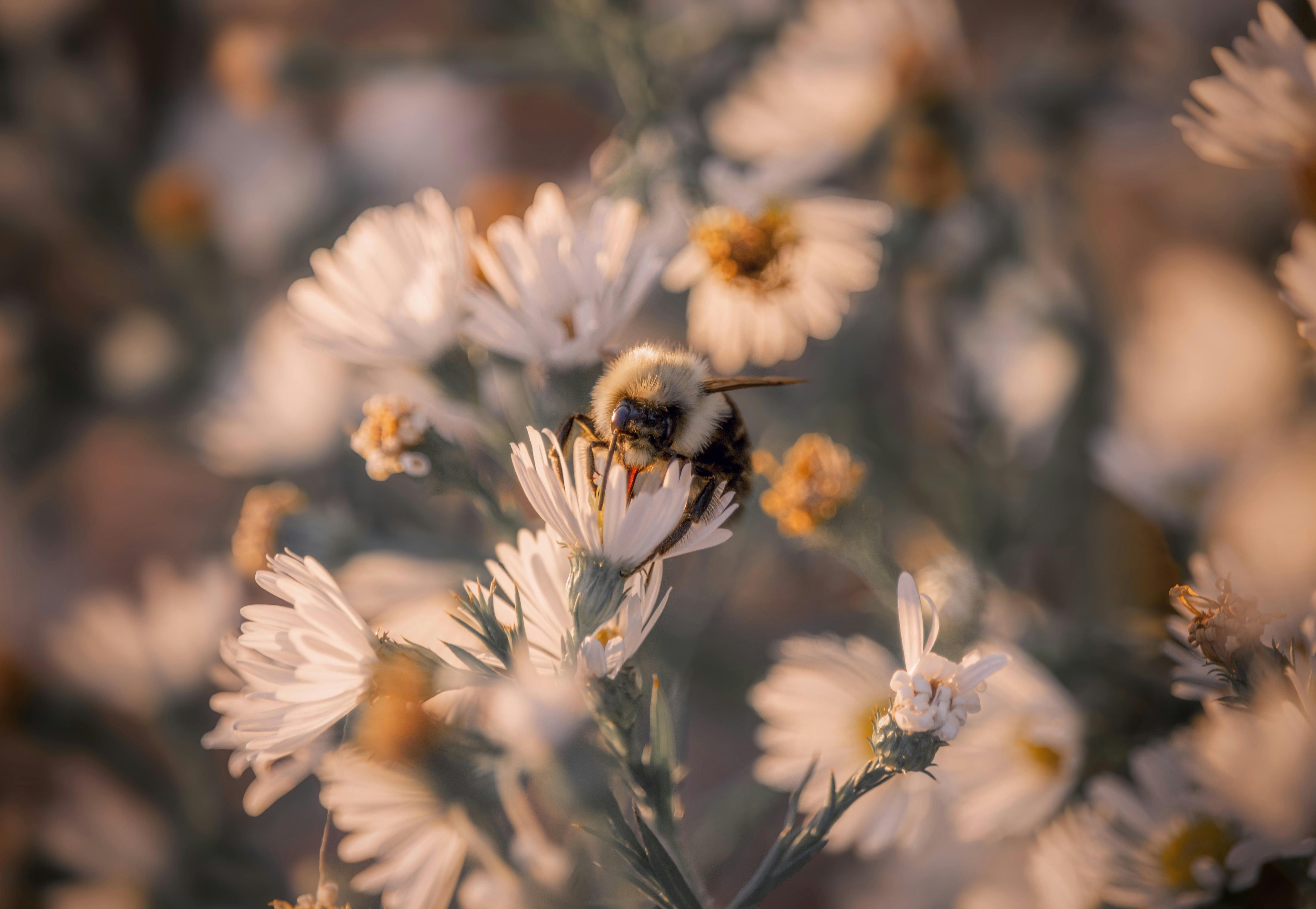 人妻・熟女通信DX 「妖しい四十路、五十路、そして六十路妻」 堀内秀昭まずは無料試し読み！Renta! レンタ