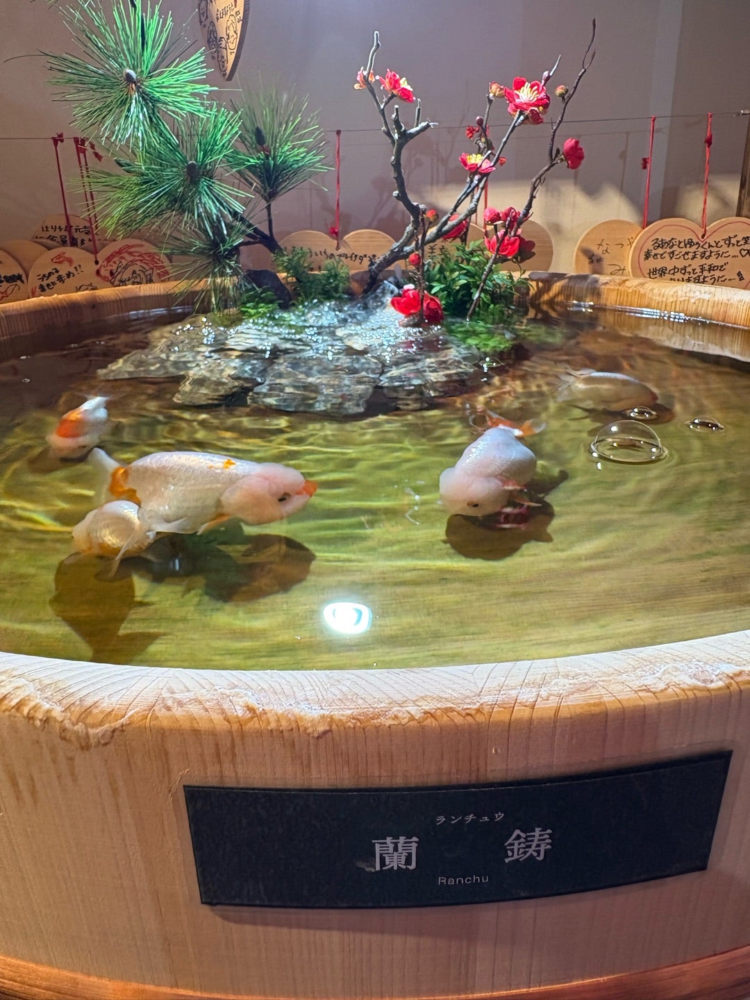 カップルと夫婦の違い」 不安と戦うのが「カップル」、不満と向き合うのが「夫婦」 夢を見るのが「カップル」、現実を見るのが「夫婦」 他人なのが「カップル 」、他人と思いたくなるのが「夫婦」 見て見ぬふりをするのが「カップル」、欠点を受け入れるのが「夫婦」 快楽