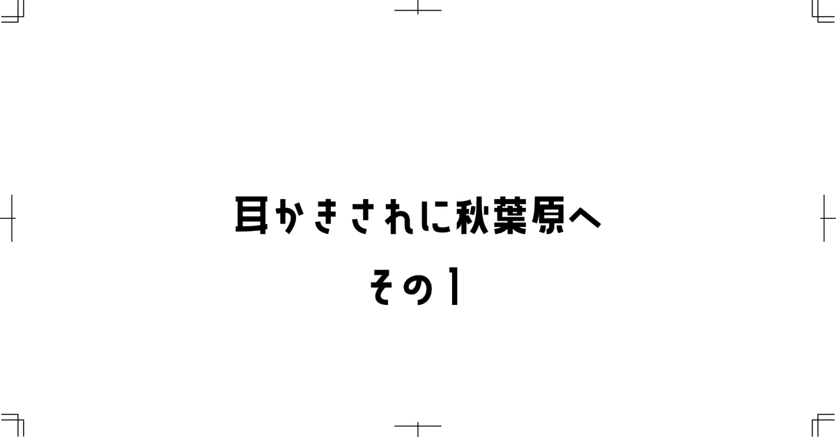 イヤーエステサロン【イヤーサプリ】プロによる耳そうじ屋 大阪堺東/日本橋/阿倍野/奈良/兵庫/新潟/なかもず/梅田/京都