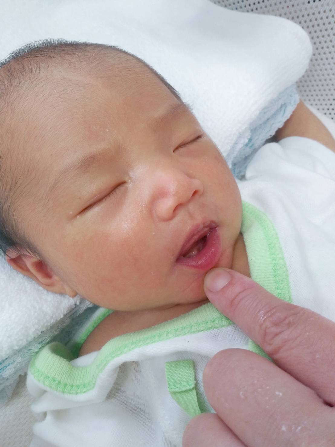 赤ちゃんが頻繁に舌を出す理由や対処法について解説します – 医療法人社団D&J 新潟西歯科クリニックブログ