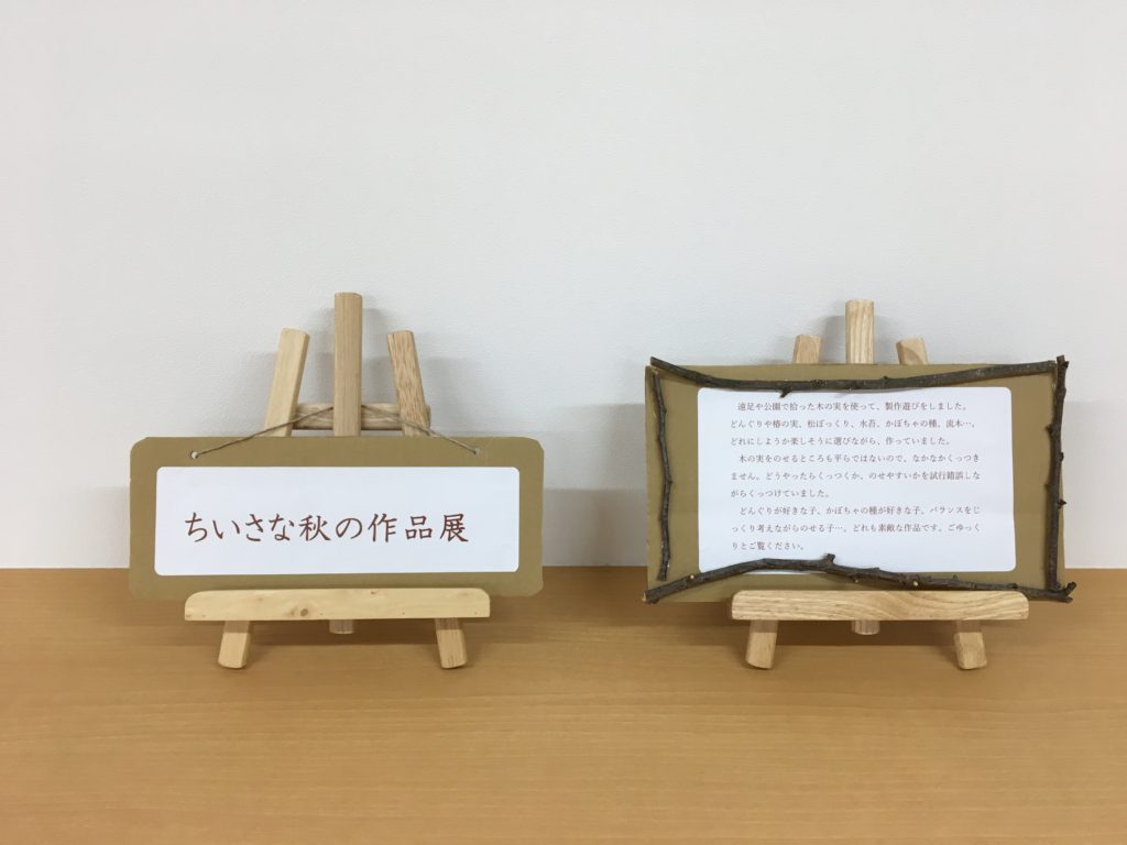 幼稚園・保育園 ９月コスモス畑の立体トンボさん絵画・製作