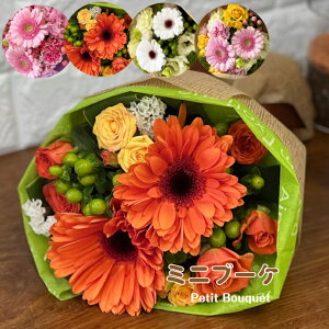 プレゼントの定番であるアクセサリーはもらって嬉しいプレゼント？20代未婚女性 の57.7%30代48.8%、年代が上がるにつれ減少傾向「日常、何気なく話したほしいものを覚えていてプレゼントしてほしい」タメニー株式会社のプレスリリース