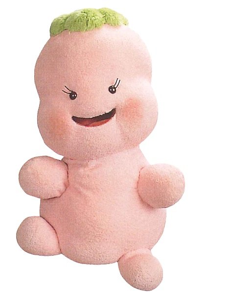 いないいないばあっ！の歴代おねえさん 女の子 まとめ2 2- RENOTEリノート