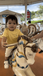 マンチカンお目目がクリクリ男の子! ^^ ! - 子犬や子猫たちのペット販売情報が満載「ペットステーション」