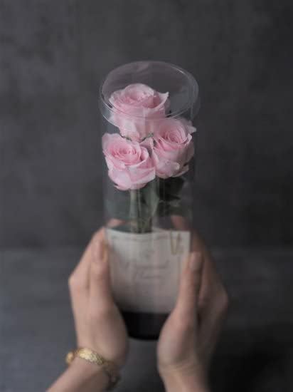 バラの花束 ☆赤バラ３本＆カスミ草・花束＆ブーケ☆敬老の日にお勧めお誕生日花束＆ブーケ記念日結婚祝いお祝い-ブルーマート - プレゼント＆ギフトのギフトモール