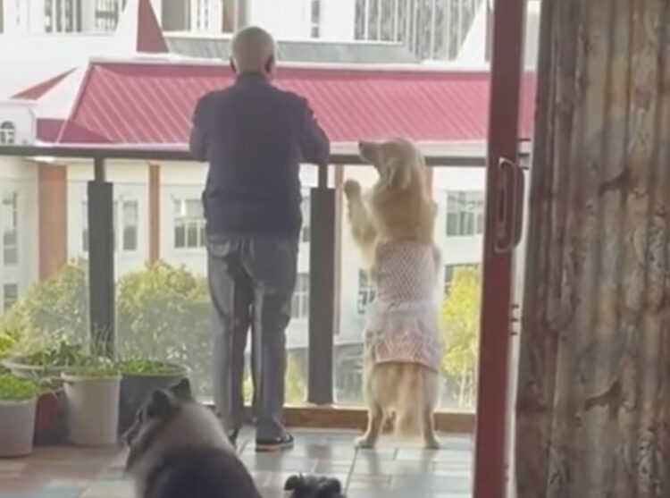 おばあちゃんおじいちゃんと仲良しだと、どんな子に育つ？ 研究結果ハフポスト LIFE