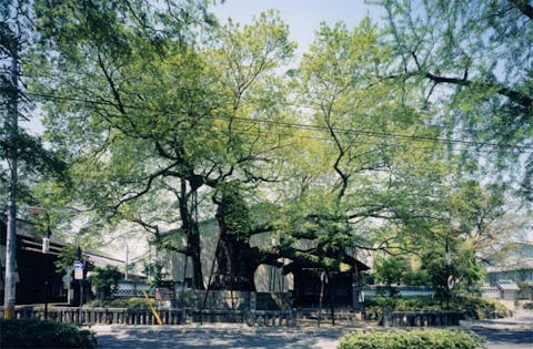 家族風呂付きの七城温泉 菊池 の温泉、日帰り温泉、スーパー銭湯おすすめ4選 2025年度版 ニフティ温泉