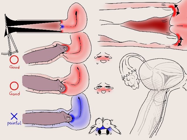 ポルチオとは？どこの性感帯？セックスのやり方・位置・開発方法 | ENJYO-エンジョー-