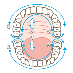 歯磨き指導 イラスト一覧 歯科素材.com 歯医者さん向け無料イラスト