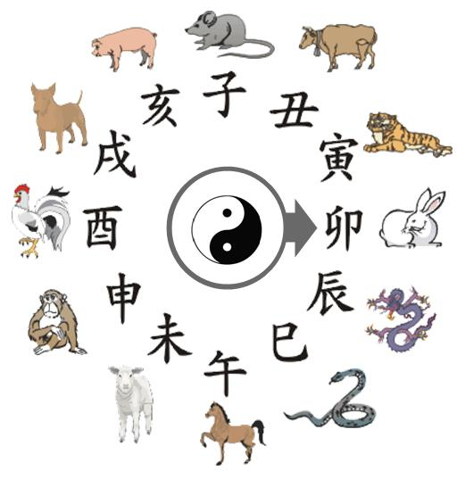 BASIC COVER うさぎ 卯 動物 卯年 アニマル 干支 十二支 誕生日 Ｔシャツ プレゼント 男性 女性 14歳 26歳 38歳 50歳 62歳74歳 86歳 98歳 兎 家族 友人 1501 1500 085 : BASIC COVER ギフト