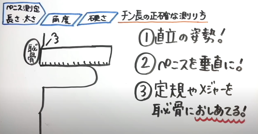 マイクロペニス（小陰茎症）とは？サイズの基準や治療方法を解説【医師監修】 | 新橋ファーストクリニック【公式】