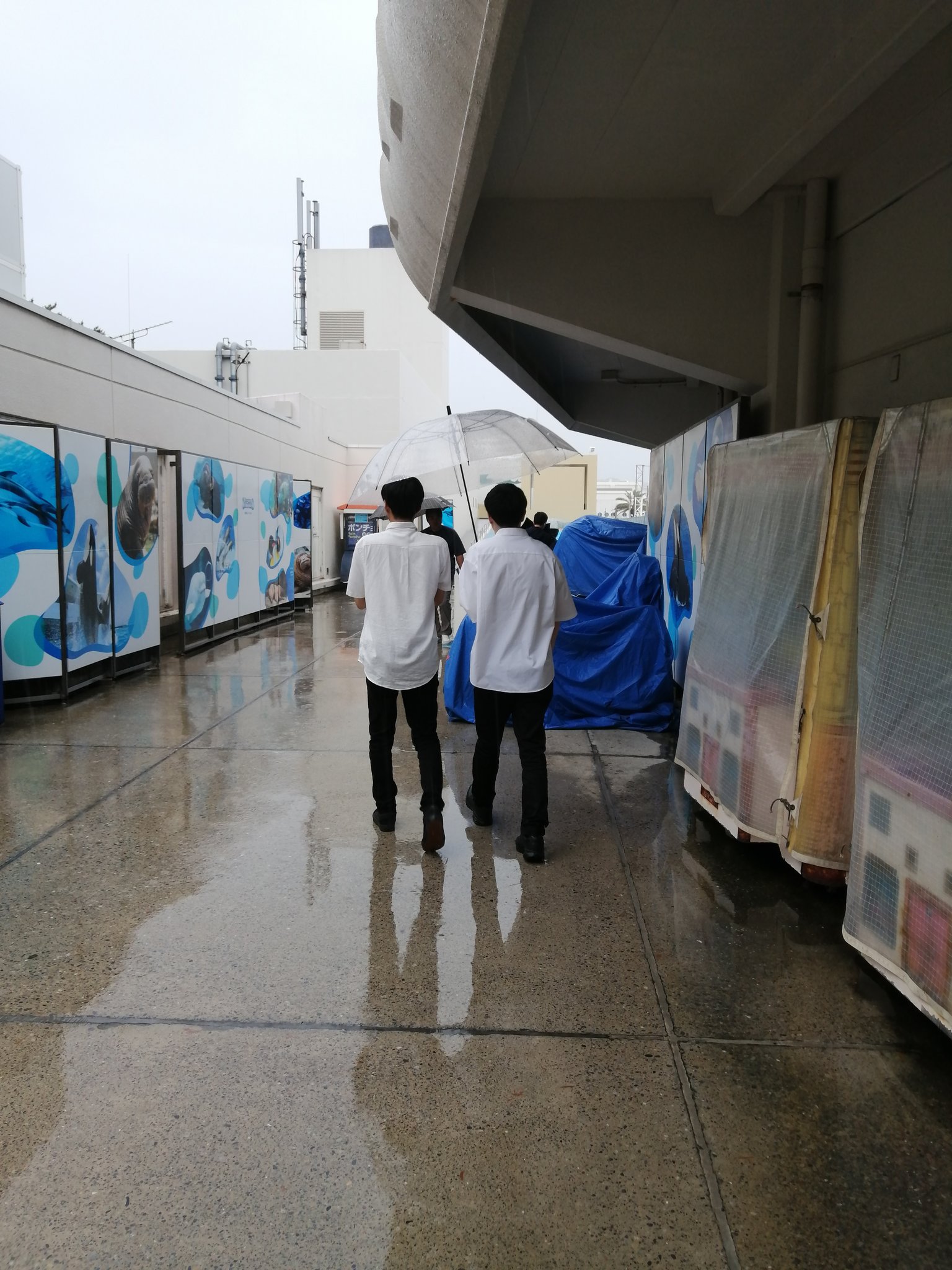 ｼﾞｭｳｼﾞﾛ on X: 