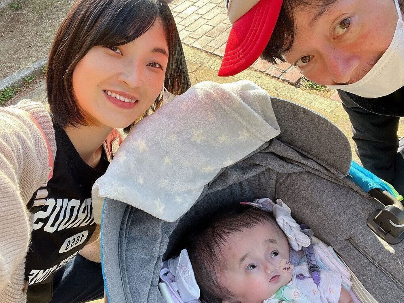 マンチカン初心者にオススメレッドタビー！超短足の可愛すぎる仕草にも注目！マルワンBLOGペットショップ マルワン 小さめ子犬美形な子猫 初心者安心のサポート