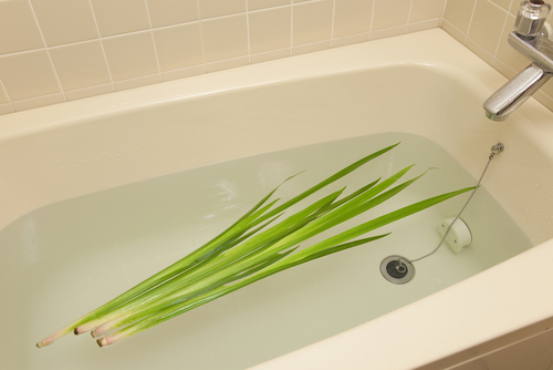 菖蒲を頭に巻く意味や結び方は？巻く地域と菖蒲湯の由来も解説！いちかばちか晴れブログ