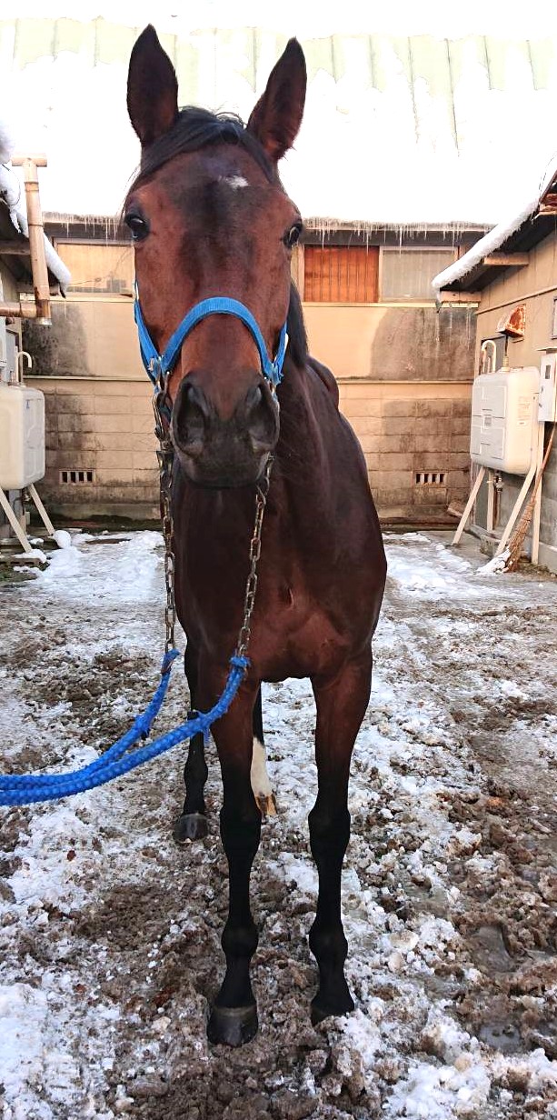 神話の主人公たち