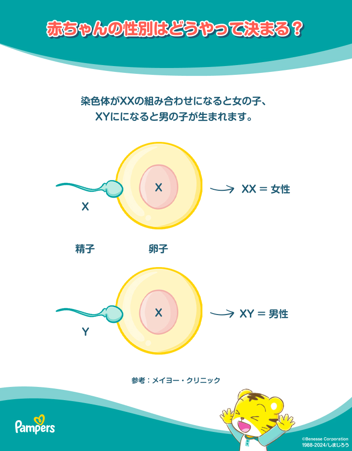 人気の赤ちゃんの名前を教えて！女の子編パンパース