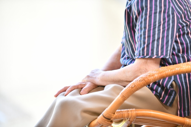 年齢に合わせた趣味を捨て、コントローラーを手に取ろう」、高齢ゲーマーの普及を目指すゲーミングおばあちゃん 集団が海外でひそかな話題に。ゲームを通じて世代をつなぐグランマたちの「お茶会」配信