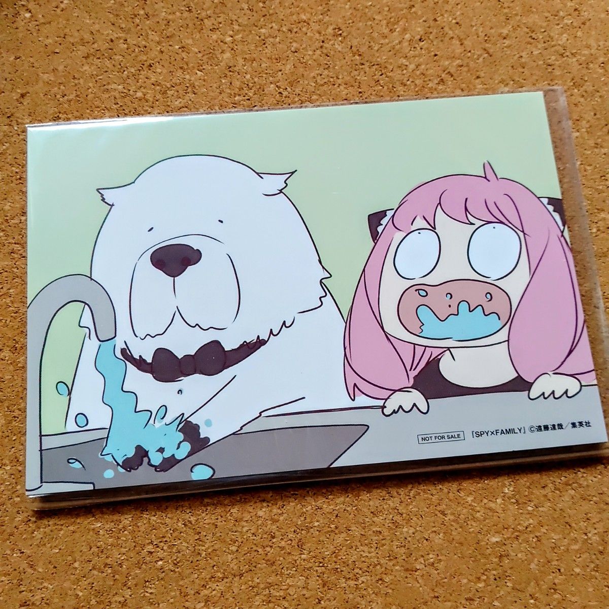 SPY×FAMILY」、フォージャー家のペット・ボンドがデフォルメされもちクッション化！ - GAME Watch