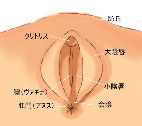 京ちゃん！ところてん大量射精！！ - Gyutto.com