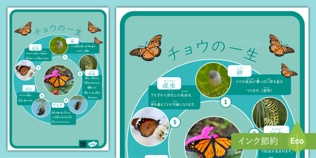 蝶よ花よ」とは子どもをとてもかわいがること意味や使用例、類語を紹介Oggi.jp