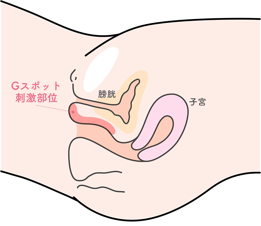 Gスポット開発とは？場所と位置の見つけ方 - 夜の保健室