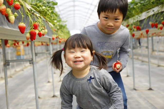 小さい子たちも楽しんでいます。社会福祉法人 寿翔永会 学文路さつきこども園 KAMURO SATSUKI KODOMOEN