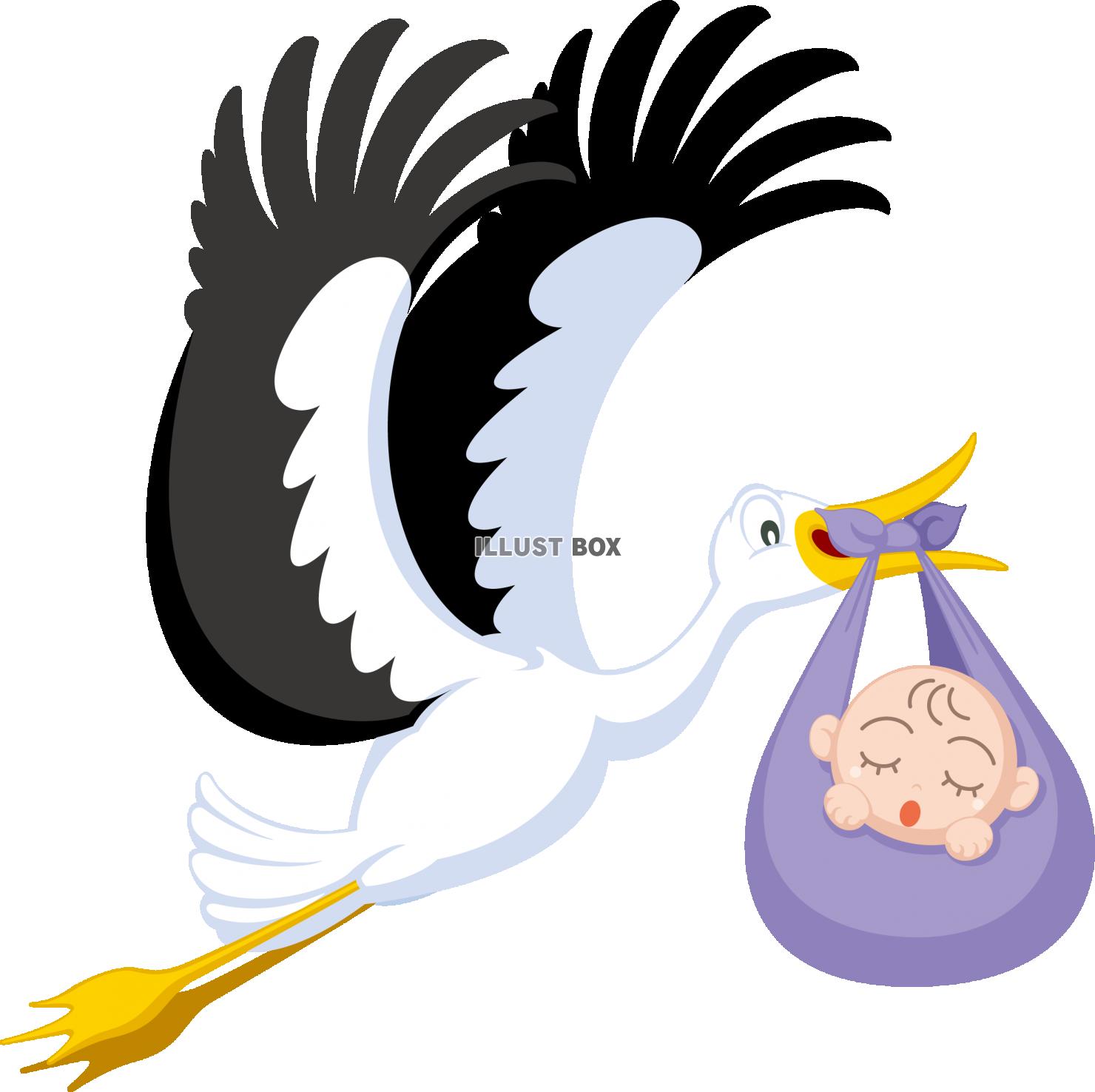 コウノトリの女の赤ちゃんの概念図Premiumベクトル素材