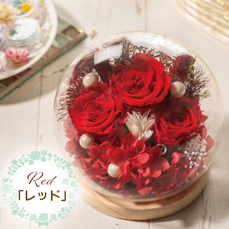 ドライフラワー ホワイトブーケ ミニ 花束 プレゼント 結婚式送料込みお届け不可地域：沖縄・離島ひょうご・神戸オンライン物産展 の通販・お取り寄せわが街とくさんネット