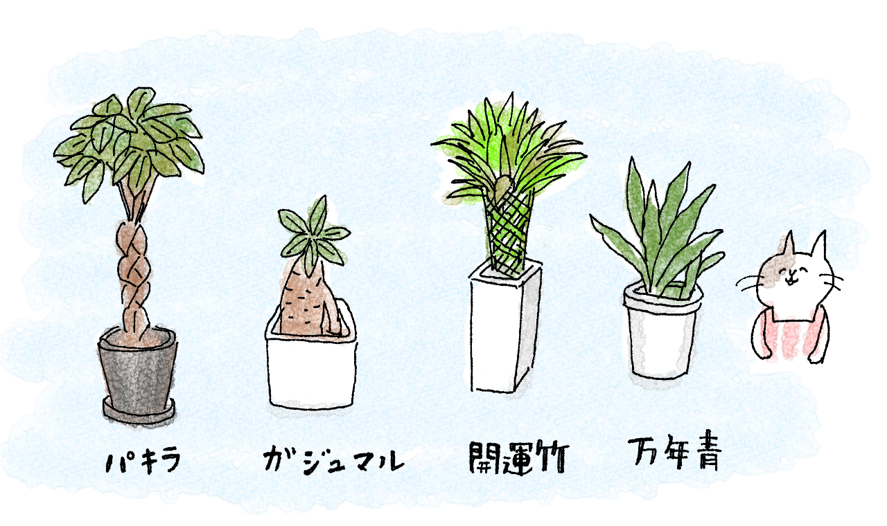 運気アップ 風水を取り入れた子供部屋づくりのポイントをご紹介 - 家具通販わくわくランドWebMagazine