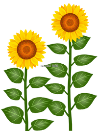 葵くん、また、ジム行くんだ？－その質問はフラグです－ 9月14日 日 放送分＜高橋健介×加藤大悟＞W主演！新感覚のワンシチュエーションドラマ！ドラマ見逃し無料配信はTVer！人気の動画見放題