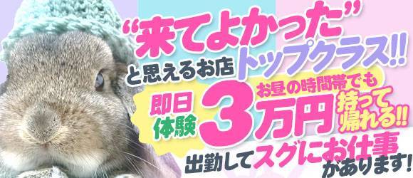 佐賀県｜風俗に体入なら[体入バニラ]で体験入店・高収入バイト