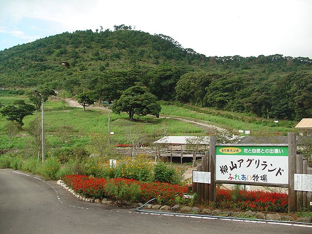 春は菜の花 柳山アグリランド 秋はコスモス鹿児島に移住したロジウラマン