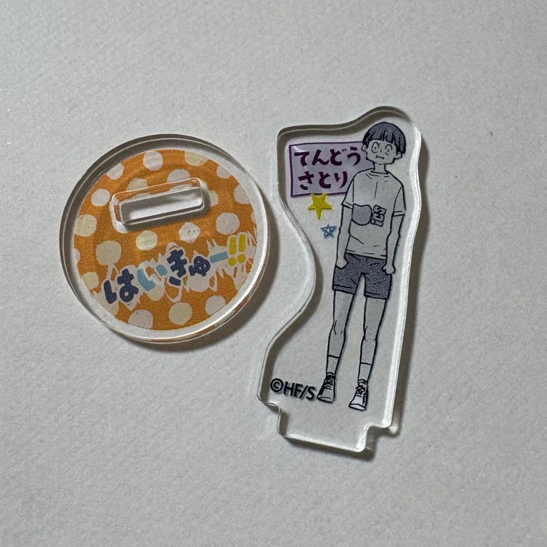 ハイキュー 天童覚 白鳥沢学園