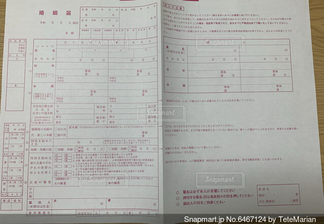 JILL STUARTのBIGコスメポーチ - ゼクシィ今月の特典