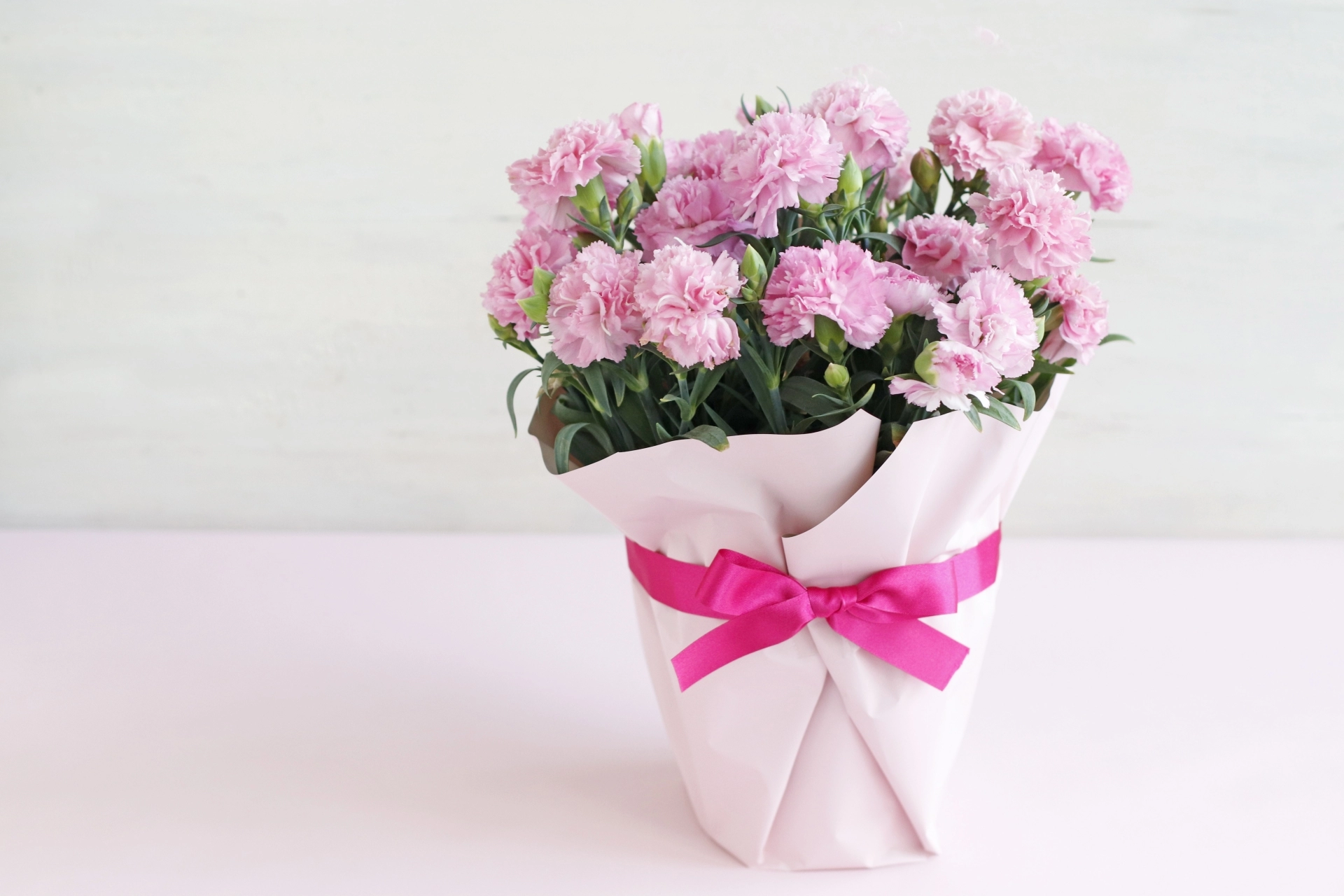 母の日の定番はなぜカーネーション？その由来と色と花言葉母の日ギフト・プレゼント特集2026ギフト・プレゼント・お祝いの通販なら郵便局のネットショップ