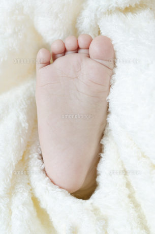 赤ちゃん足 写真素材494805- フォトライブラリ