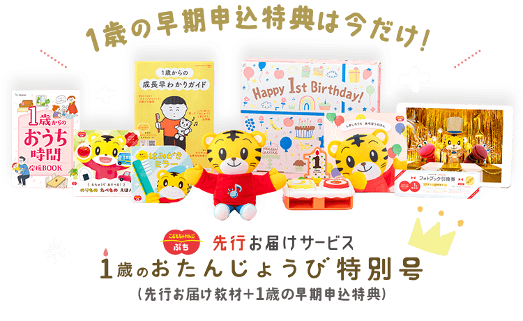 こどもちゃれんじは必要ない？後悔しない確認ポイントと必要性を解説＊お家で双子知育＊