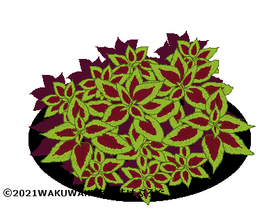 浅夏レイ -言の葉収集家- on X: 