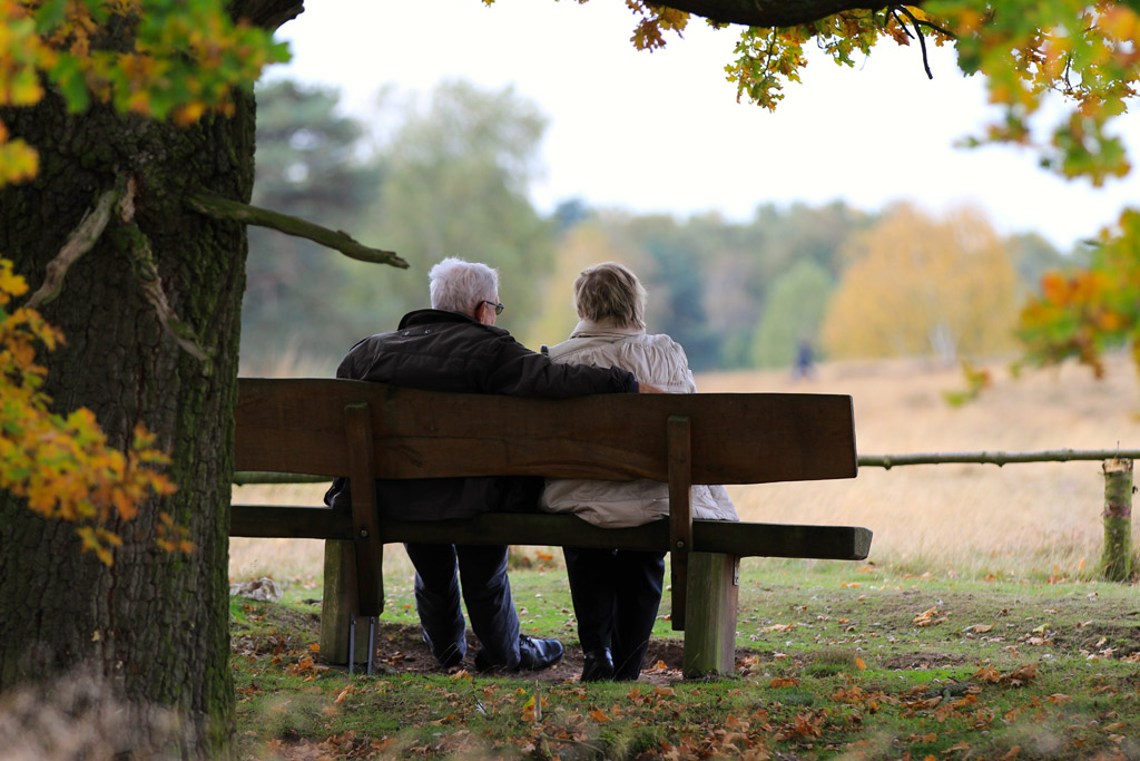 おじいちゃん 後ろ姿の写真素材写真素材なら「写真AC」無料 フリー ダウンロードOK