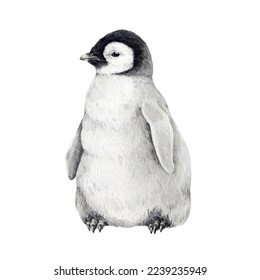 ハイハイする赤ちゃん の Stock イラストAdobe Stock