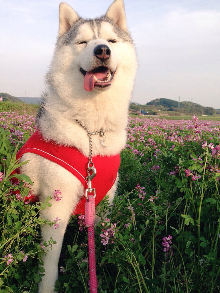 全部幸せそうな顔してる😚作品撮り