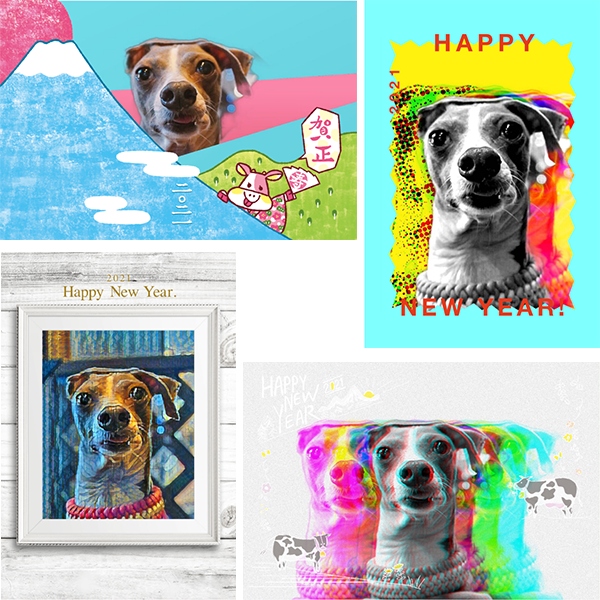 2024年版 年賀状に愛犬の写真を使おう！お正月のアイデアまとめ - CHERIEE あにまるマガジン
