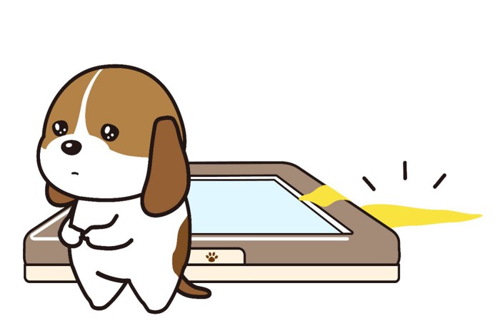 愛犬との旅行時に大活躍！大きめ男の子ワンコの持ち運びOK簡易トイレをＤＩＹ！ボーダーコリーは犬じゃない