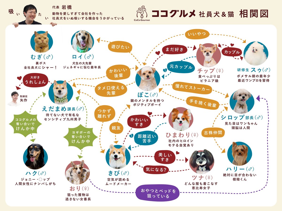 犬は親子を認識して覚えてる？飼い主についてもわんちゃんホンポ