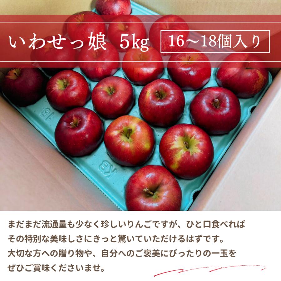 台風被害からの復活！アウトドアシーンに美味しい林檎を届けたい 宮下直也 宮下果樹園and CIDER2020 06 03 公開-クラウドファンディング READYFOR