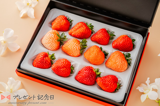 写真4 19女性に贈るクリスマスプレゼント特集2022 1万円以下 嬉しい・おしゃれなハイブランドギフトなど - ファッションプレス