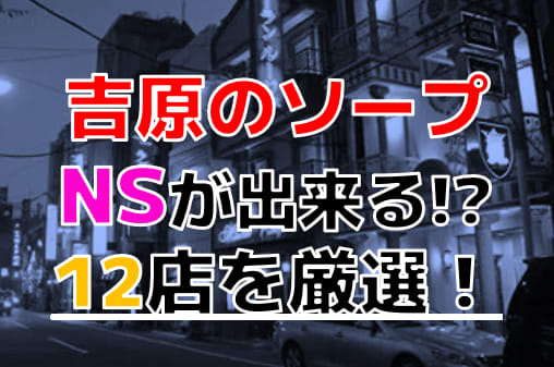 東京.吉原のNS/NNソープ『セグレターリオ』店舗詳細と裏情報を解説！【2024年12月】 | 珍宝の出会い系攻略と体験談ブログ