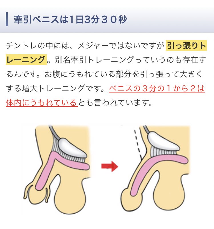 チントレはやっても意味がない⁉ペニスを効果的に強化する方法とは？ –メンズクリニック研究会-包茎