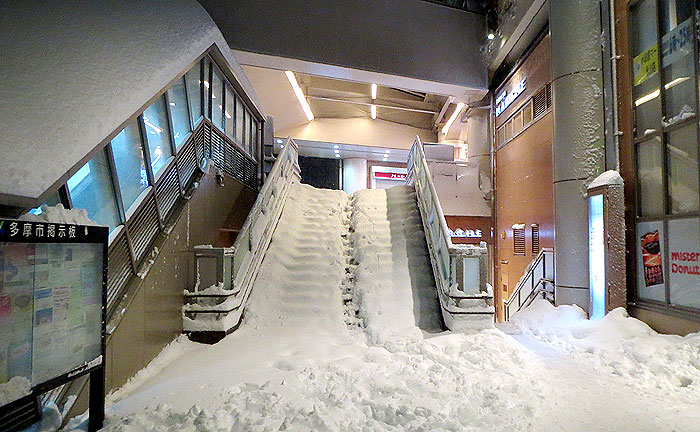 多摩市】珍風景！満開の桜に雪化粧？昨日多摩ニュータウンでも積雪で幻想的風景に！ | 号外NET