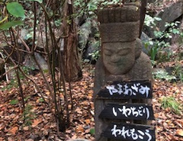 家族温泉「山ぼうし」行ってきました。九州まんきつ日記 - 楽天ブログ